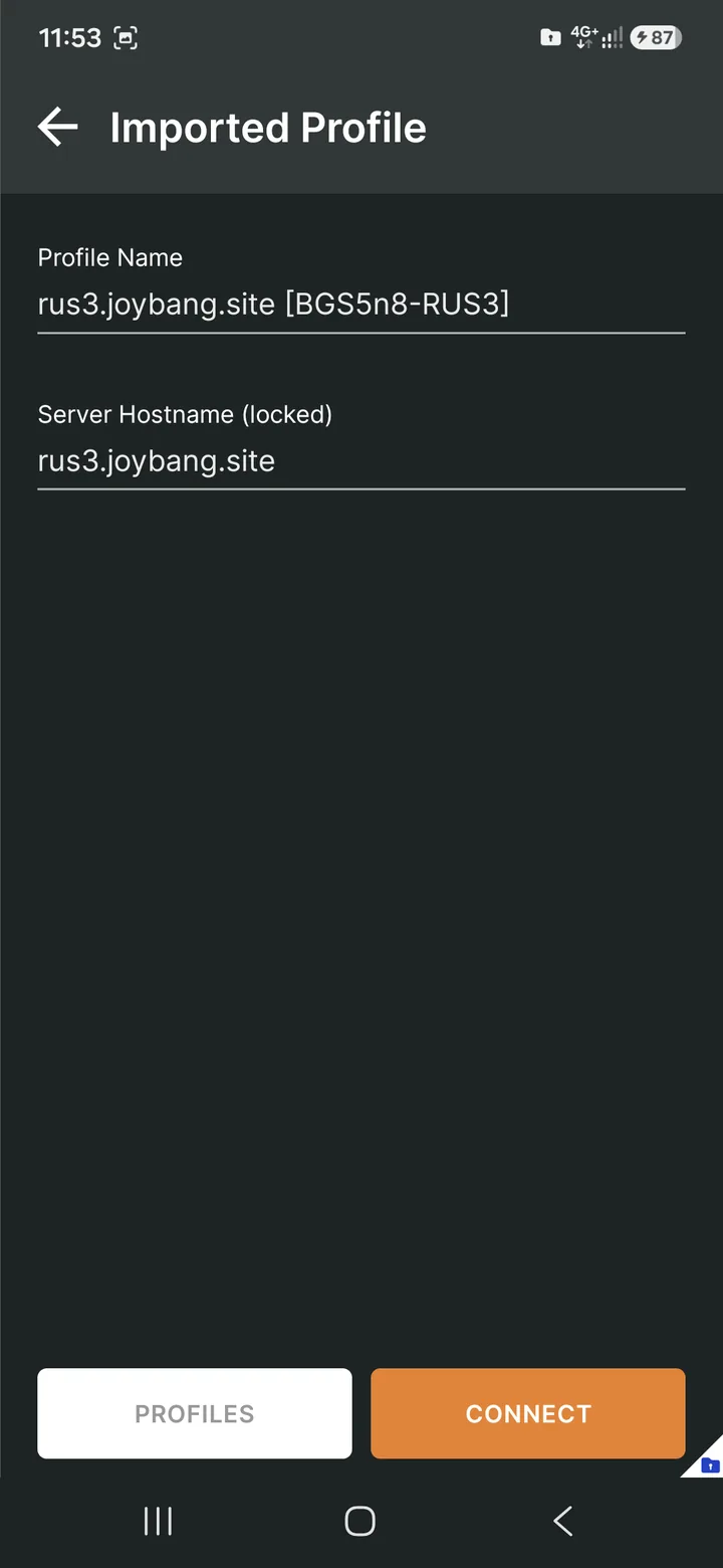 OpenVPN Connect for Android — As an example, I'll use the Russia, Moscow location. Select the .ovpn file (BGS5n8-RUS3).
