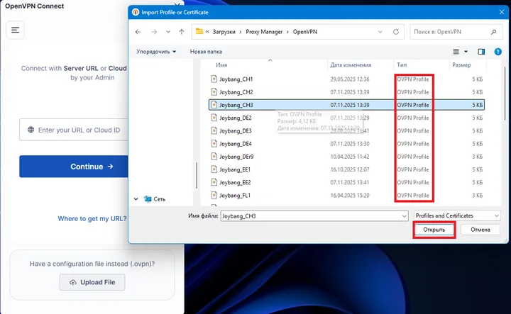 OpenVPN Connect for PC — 4. Select the file you need — look for the .ovpn extension.